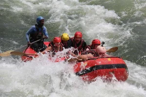 Exhilarating 5-Day Luxury Safari In Jinja & Murchison Falls NP