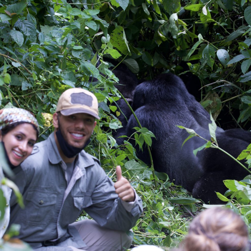 5 Day Wildlife Gorilla Trekking Budget Trip