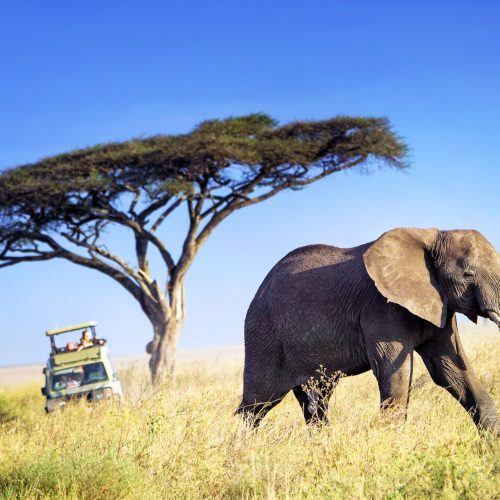 5 Day Thrilling Budget Safari In Uganda