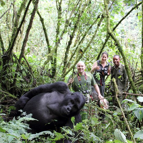 14 Day Budget Thrilling Safari
