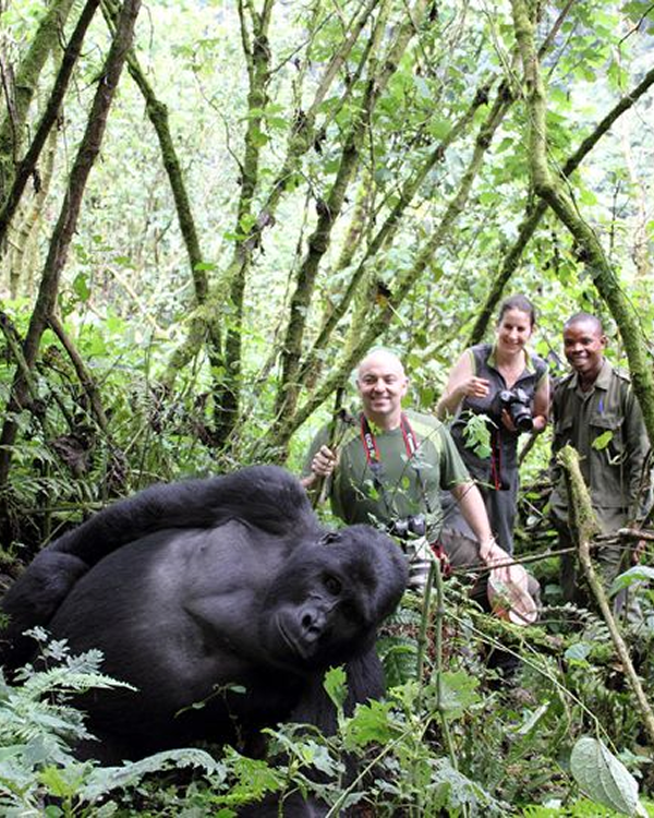 14 Day Budget Thrilling Safari
