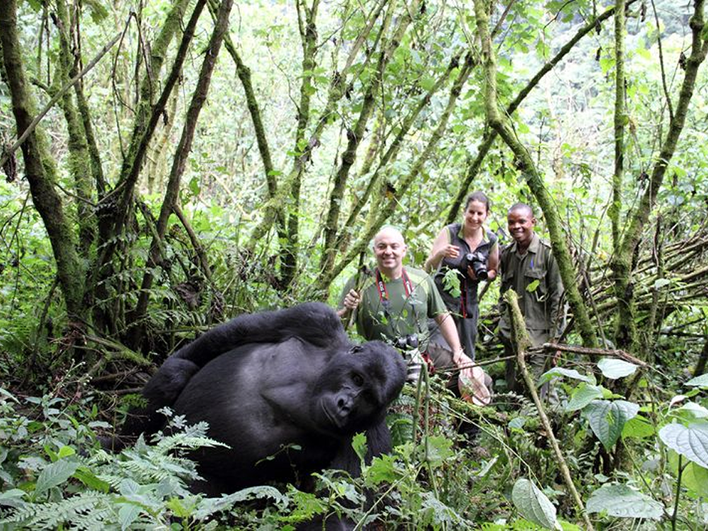 14 Day Budget Thrilling Safari