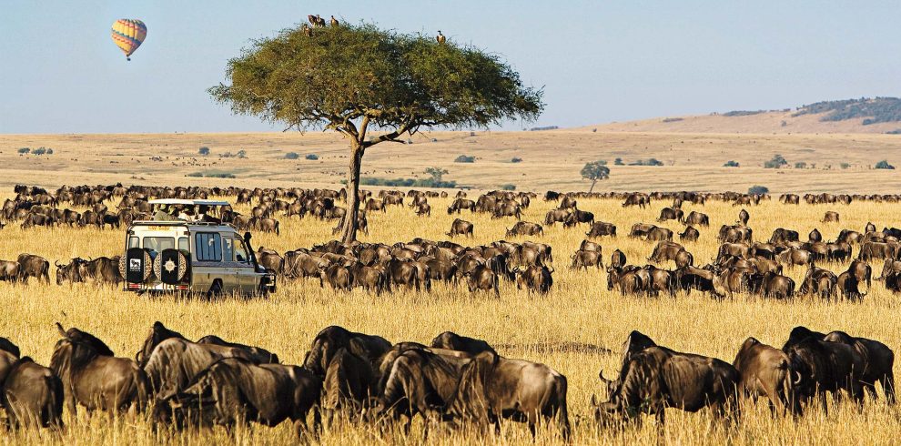 3-Day Lifetime Thrilling Maasai Mara Budget Tour