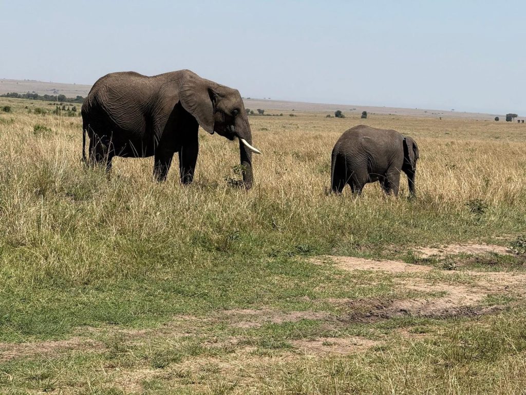 12-Day Uganda's Finest Tourism Destinations Budget Tour