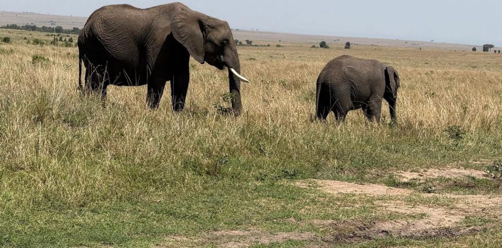 12-Day Uganda's Finest Tourism Destinations Budget Tour