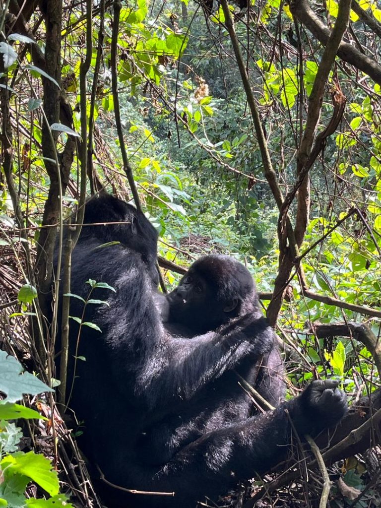 16-Day Uganda Stunning Adventure