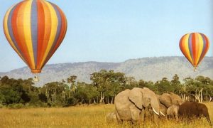 Hot Air Balloon Safaris